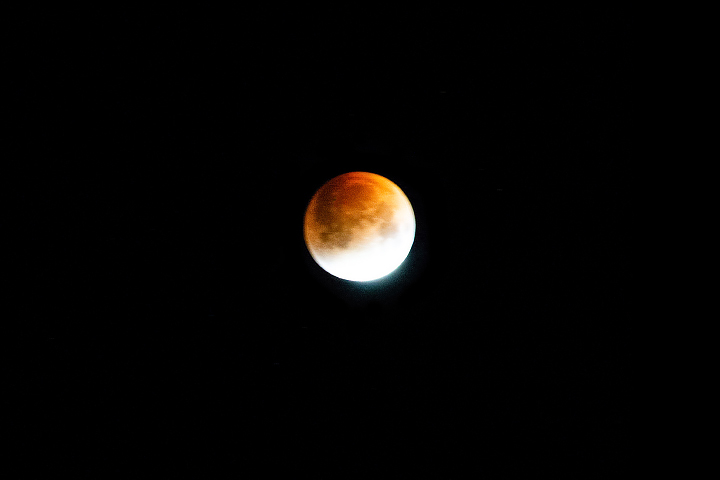 By the Warm Light of the Moon - related image preview