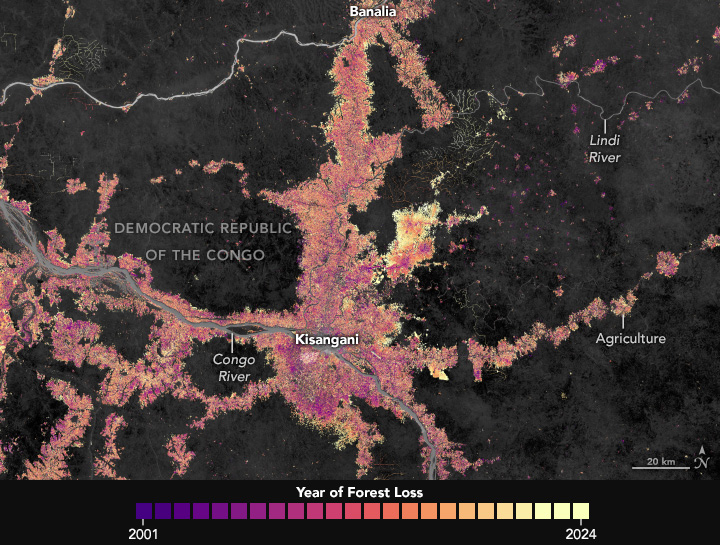 Reshaping the Forests Around Kisangani - related image preview