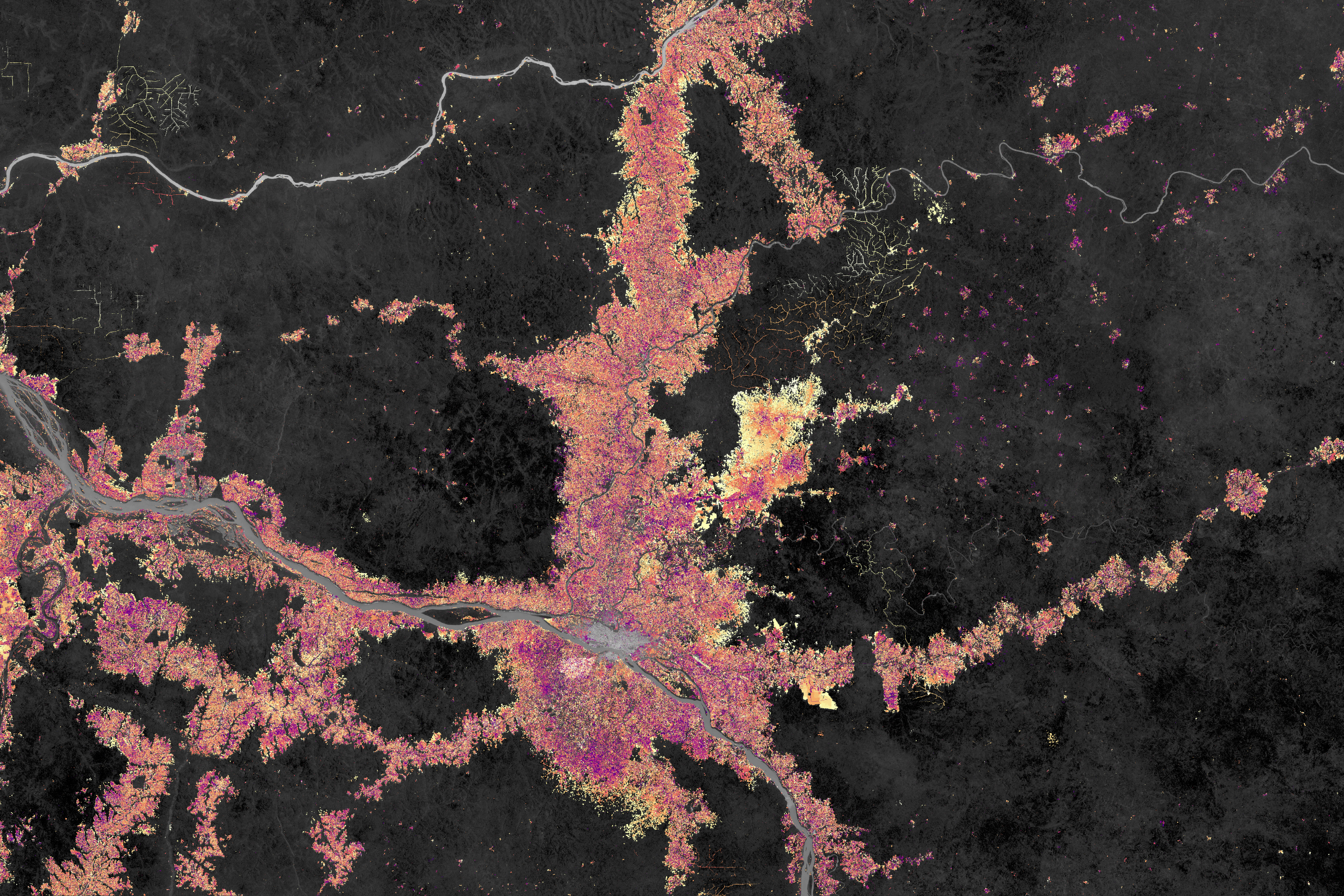 Reshaping the Forests Around Kisangani - related image preview