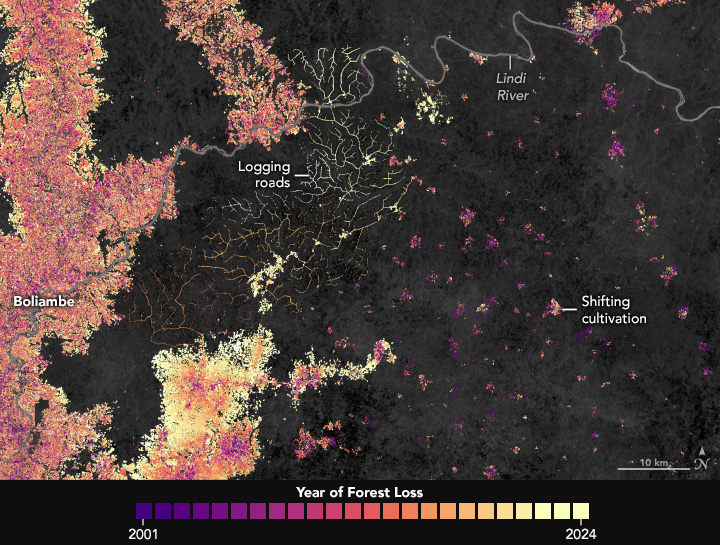 Reshaping the Forests Around Kisangani - related image preview