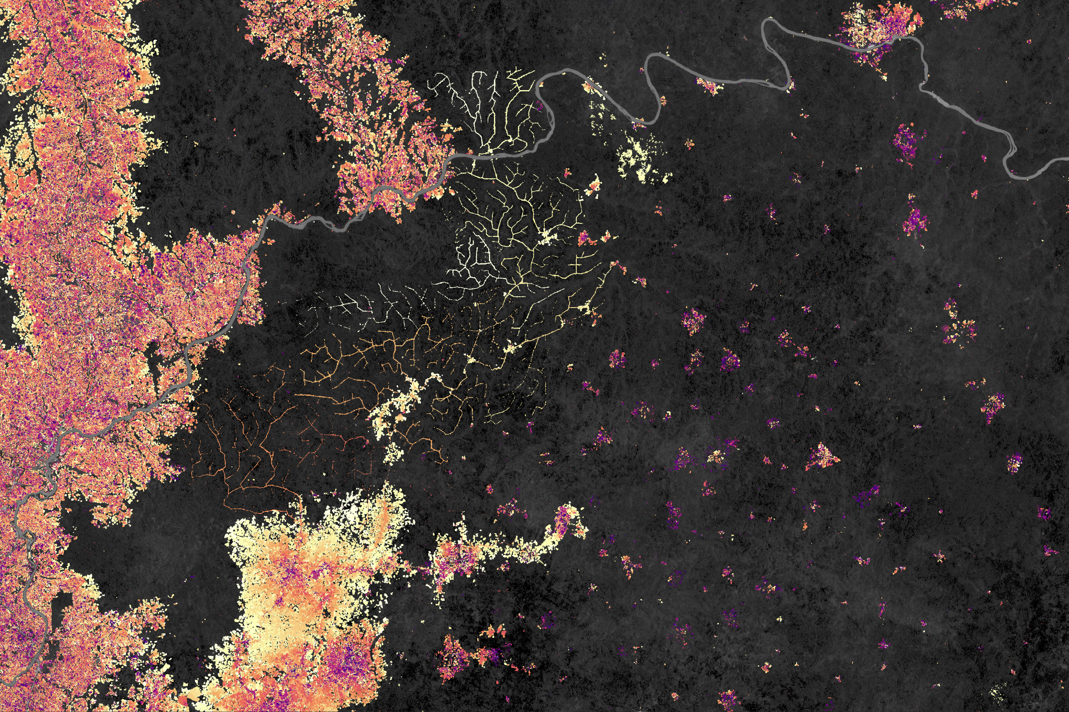 Reshaping the Forests Around Kisangani - related image preview