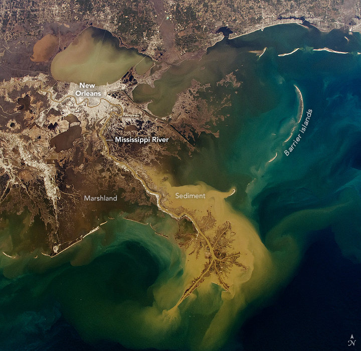 Winter Transforms the Mississippi River Delta - related image preview