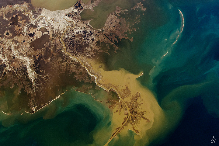 Winter Transforms the Mississippi River Delta - related image preview