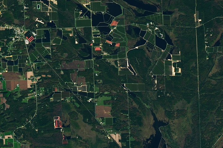 Cranberry Country, Wisconsin