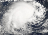 Tropical Cyclone Floyd