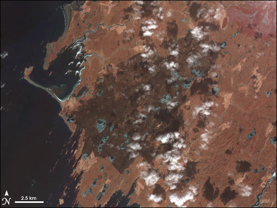 Grassfire in Iceland - related image preview