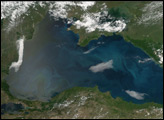 Phytoplankton Blooms in the Black Sea
