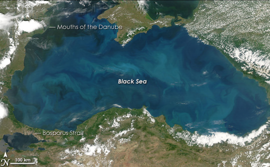 Phytoplankton Blooms in the Black Sea - related image preview