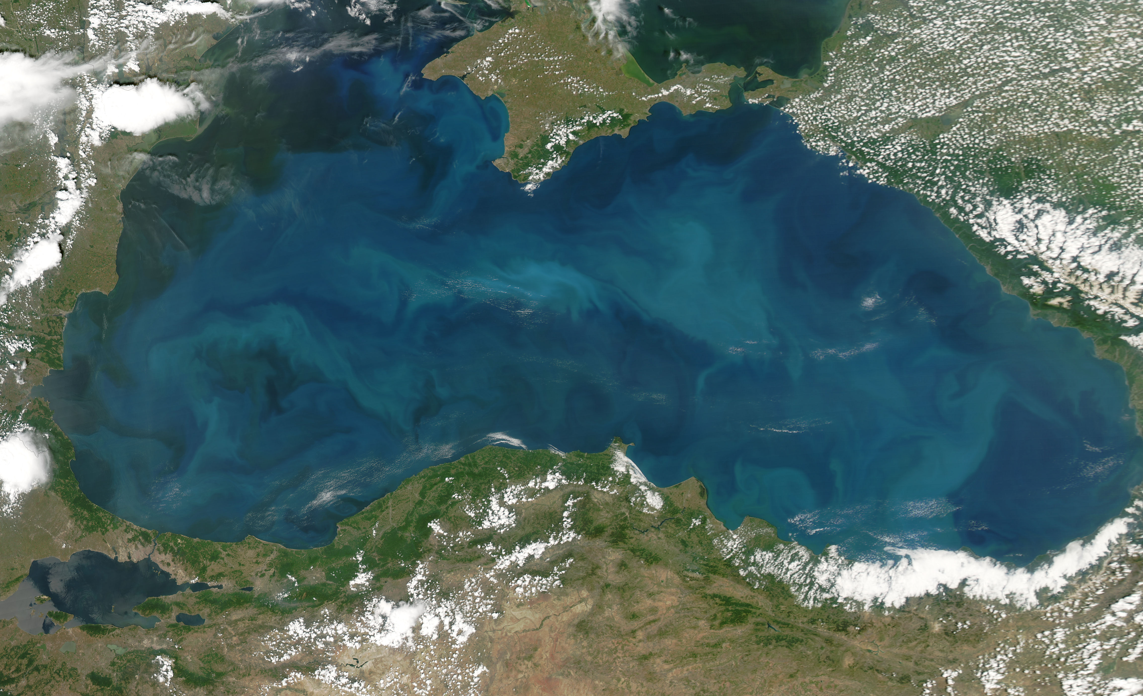 Phytoplankton Blooms in the Black Sea - related image preview