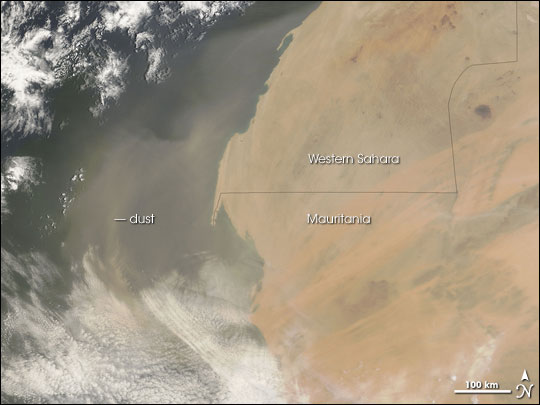 Dust Plume off the West Coast of Africa
