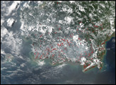 Fires on Borneo