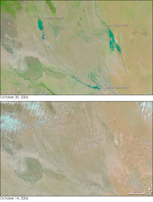 Floods in East Africa - related image preview