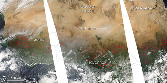 Northern Africa Fire Season