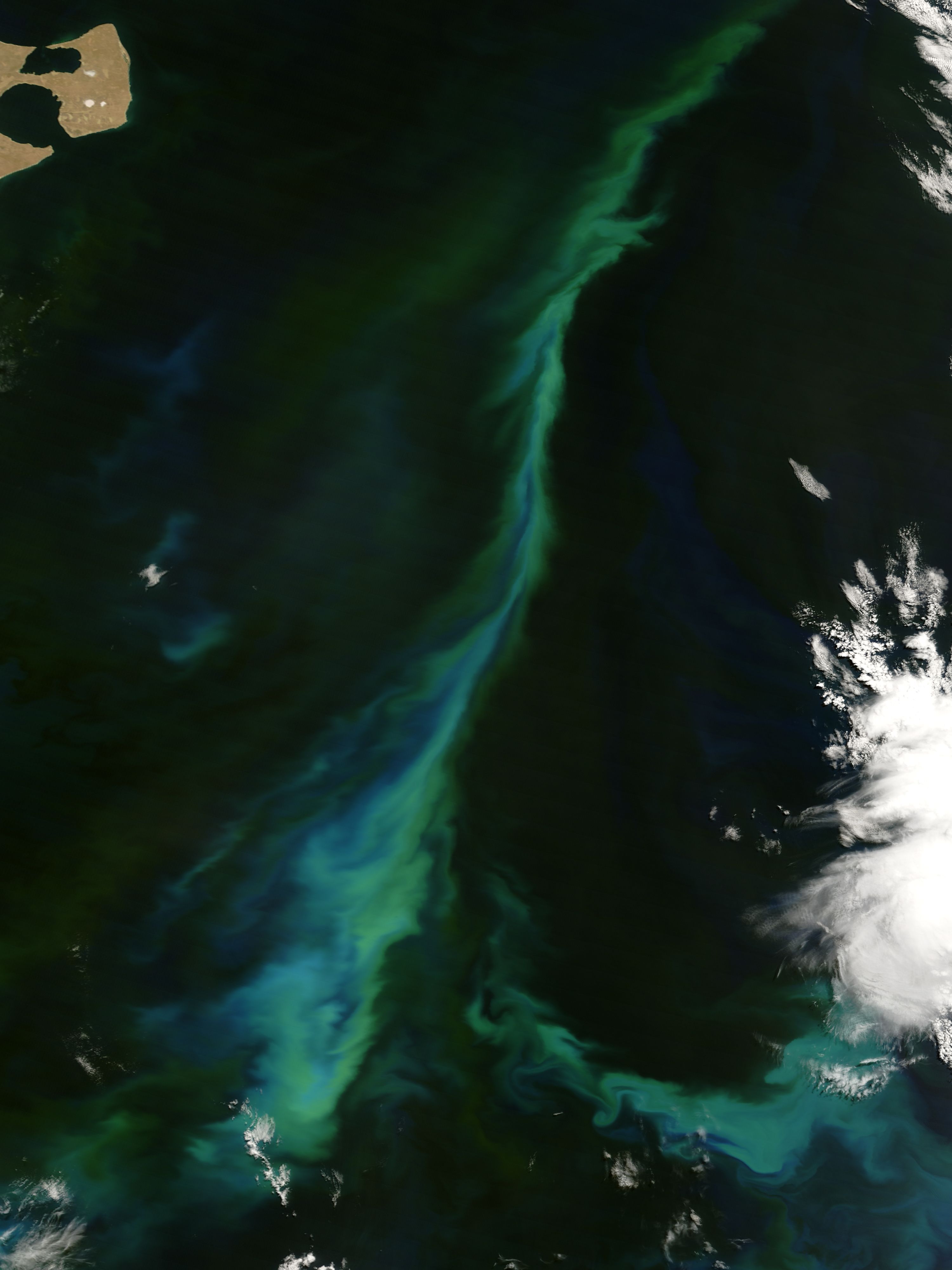 A phytoplankton bloom along the Norwegian west coast. This 