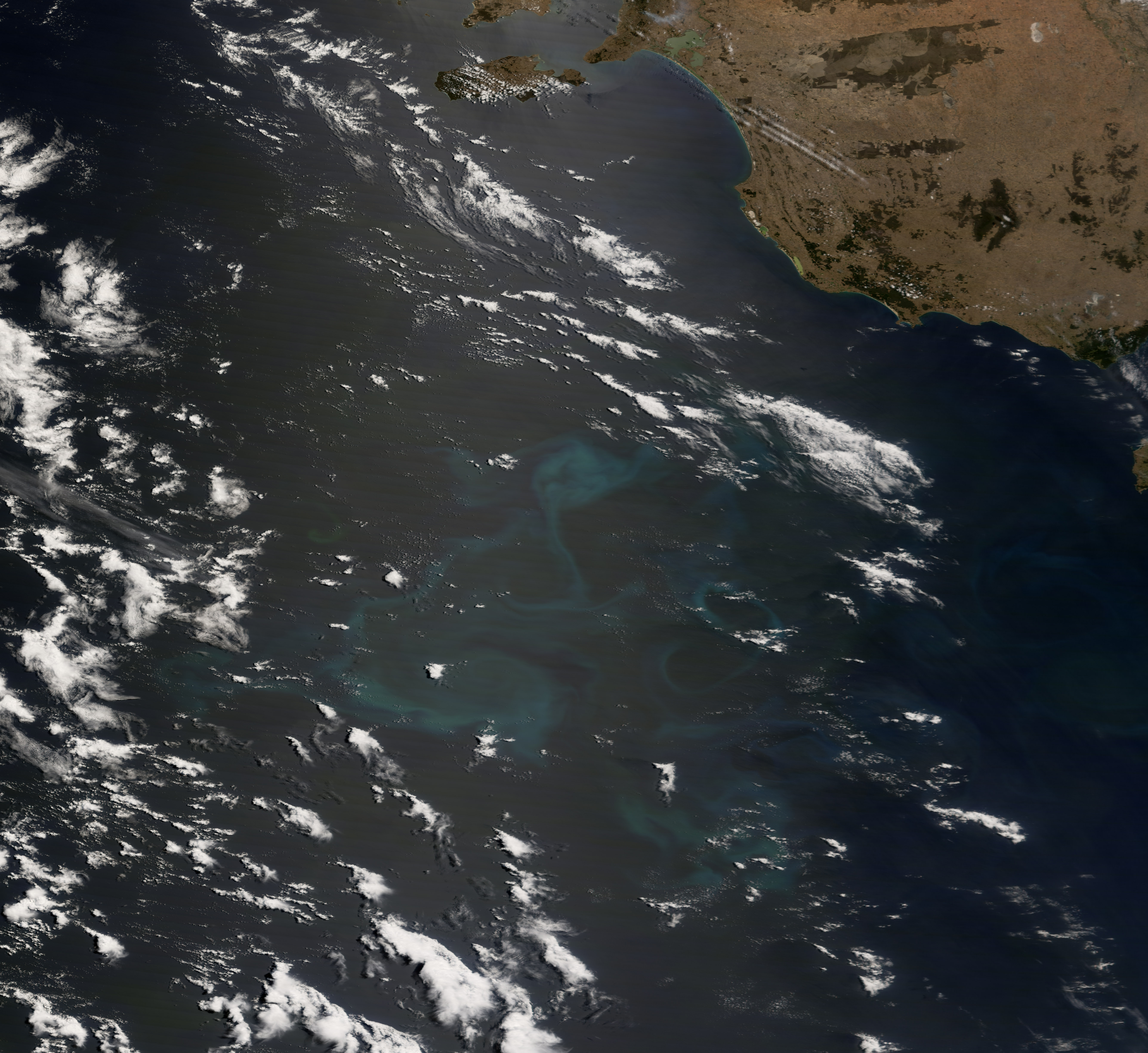 Phytoplankton Bloom in the Great Australian Bight - related image preview