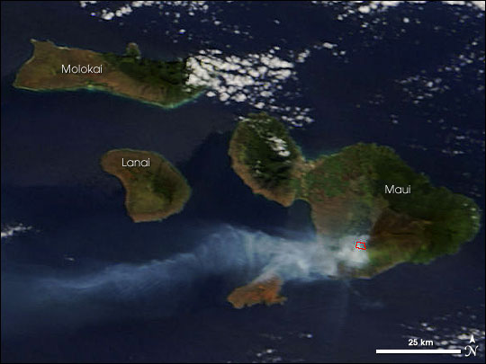 Forest Fire on Maui - related image preview