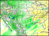 El Nino Rainfall Patterns over the United States