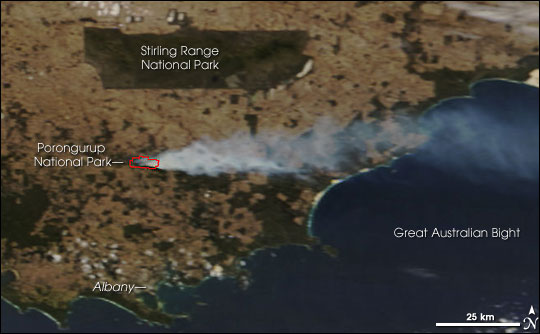 Fire in  Porongurup National Park, Western Australia