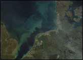 Thames River Plume in the North Sea
