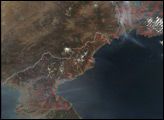 Fires in North Korea, Russia