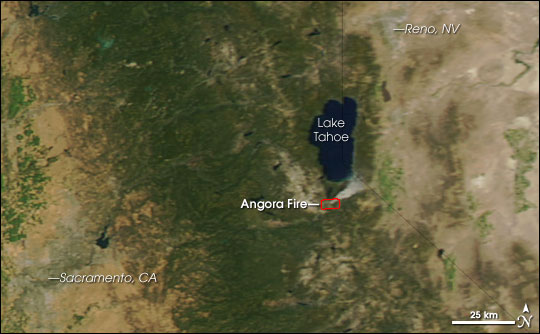 Angora Fire