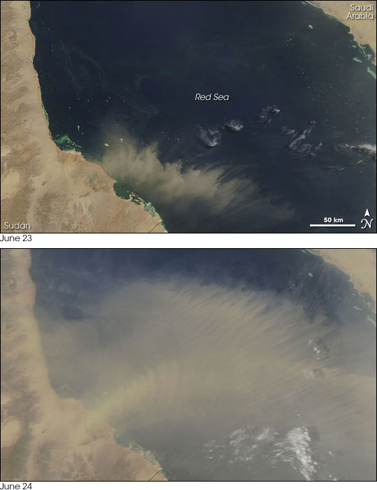 Dust Plume off the Coast of Sudan