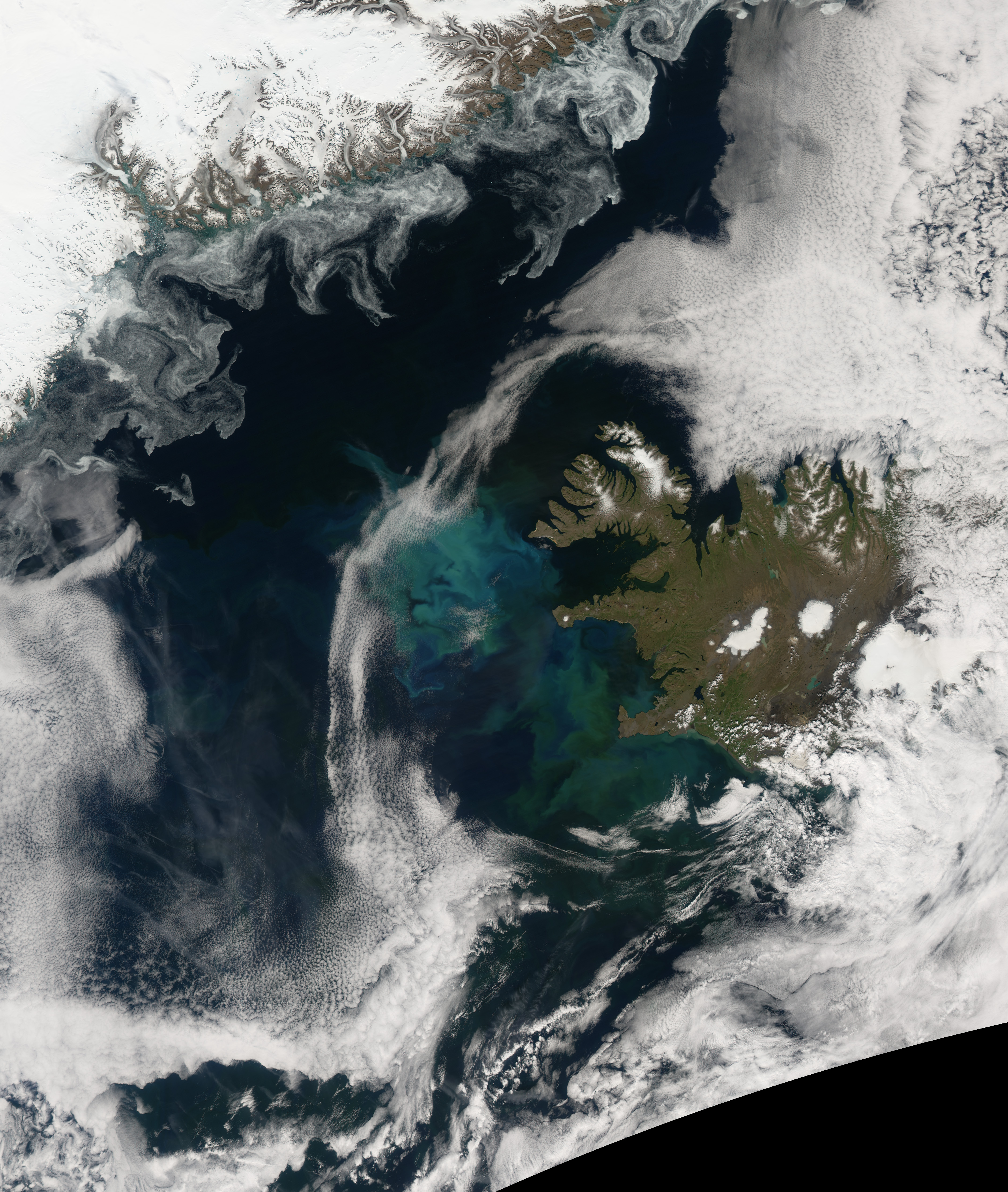 North Atlantic Bloom - related image preview