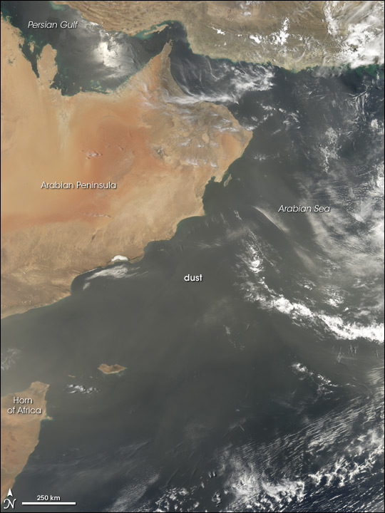 Dust over the Arabian Sea