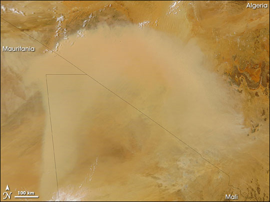 Saharan Dust Plume