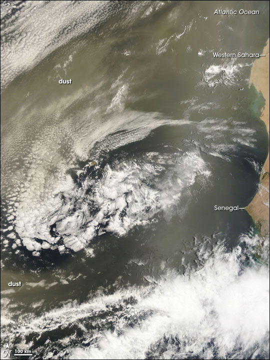 Saharan Dust Plume