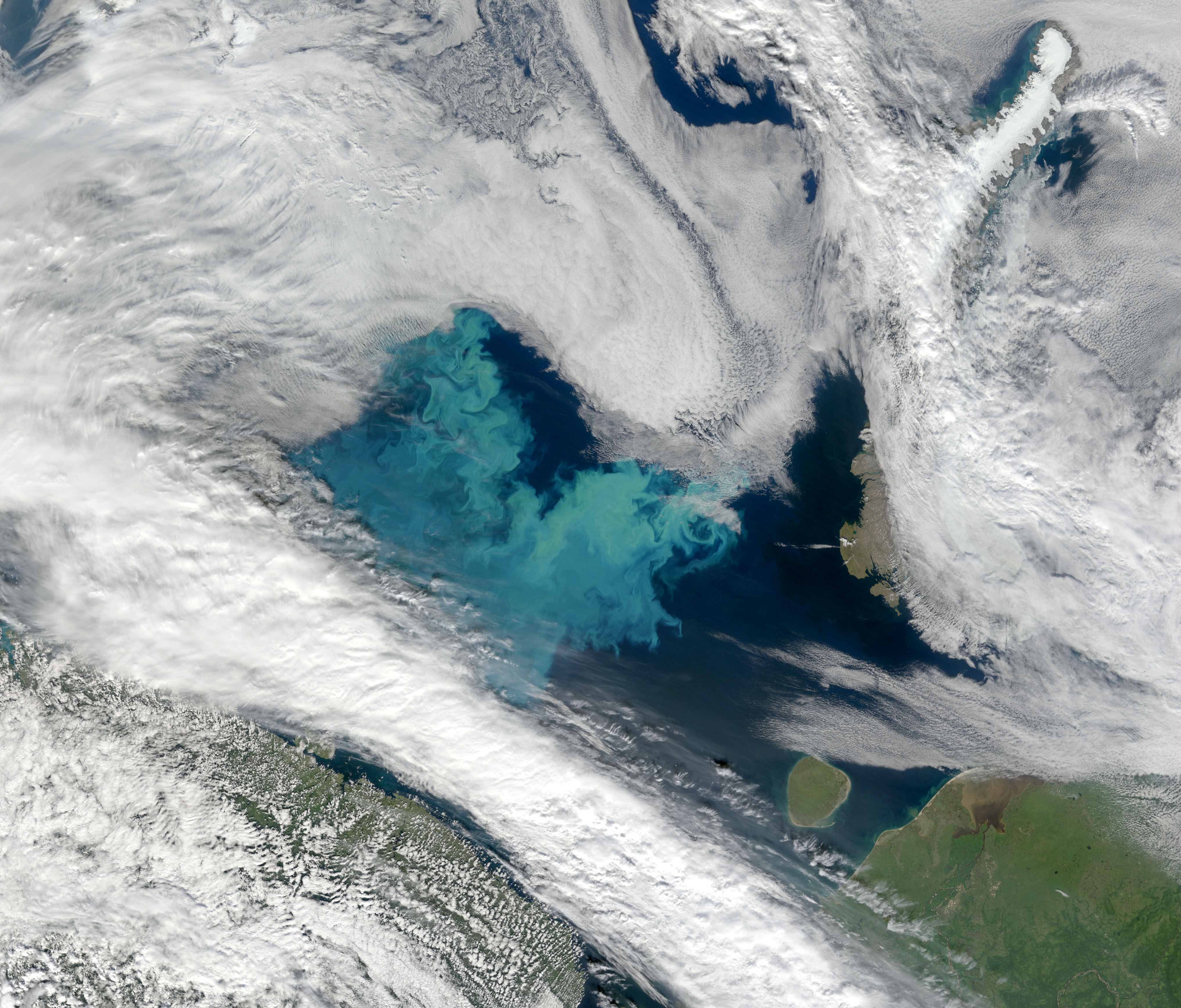 Bloom in the Barents Sea - related image preview