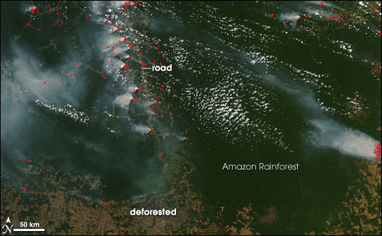 Fires and Deforestation in the Amazon