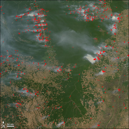 Fires and Deforestation in the Amazon