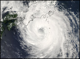 Typhoon Fitow