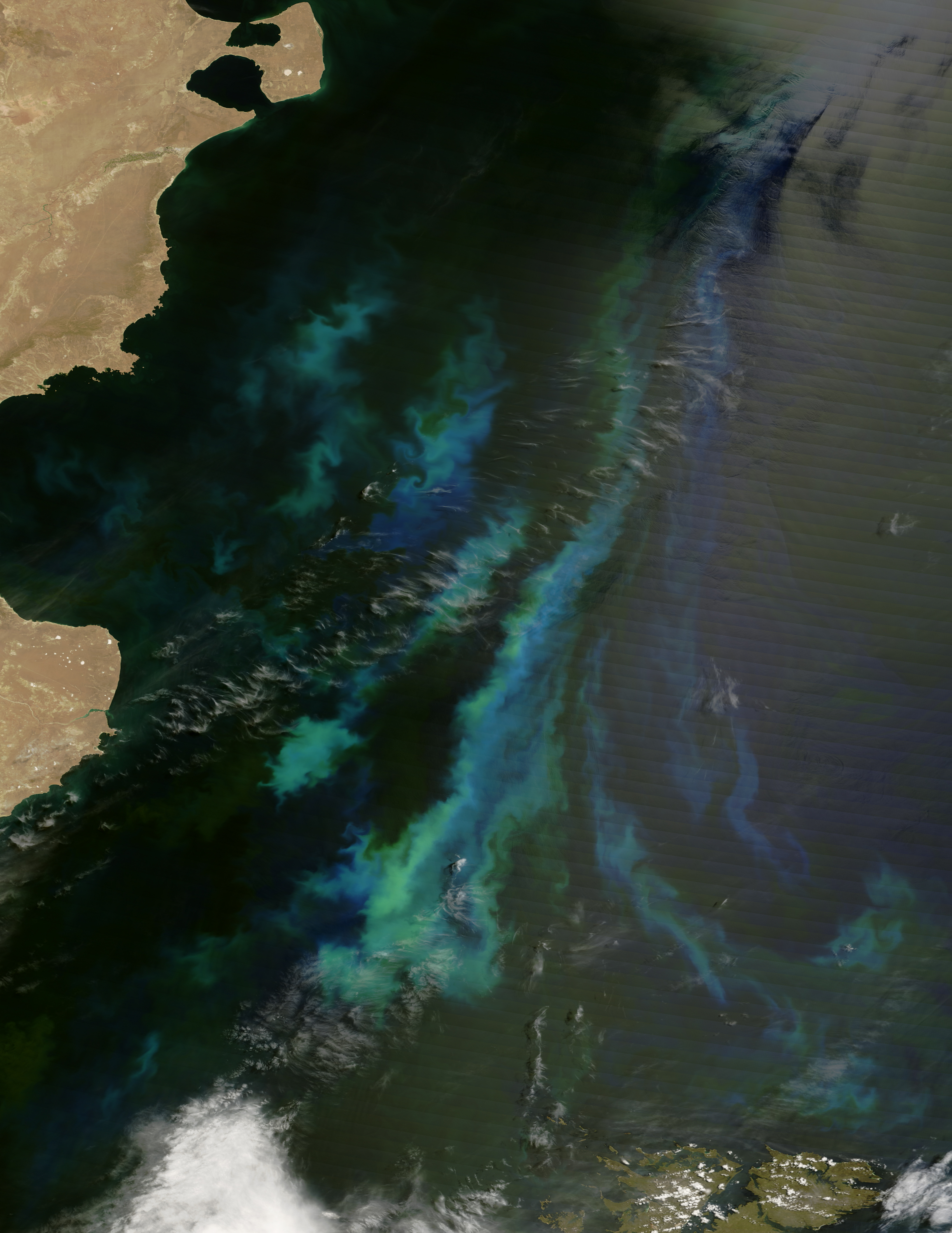Phytoplankton off the Coast of Argentina - related image preview