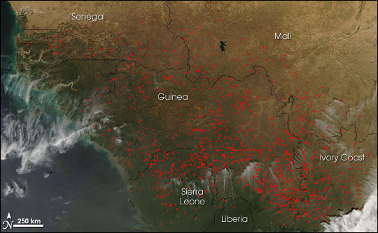 Agricultural Fires in West Africa