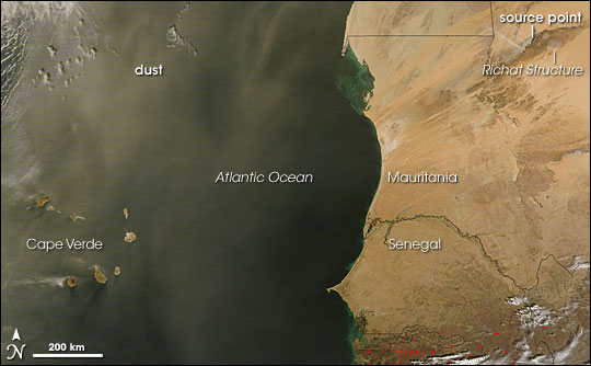 Dust Storm off Western Sahara