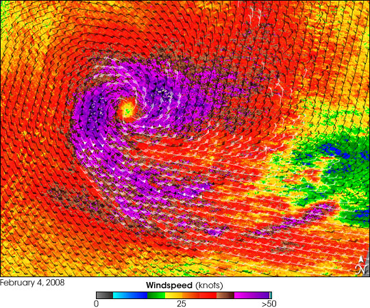 Cyclone Gene - related image preview