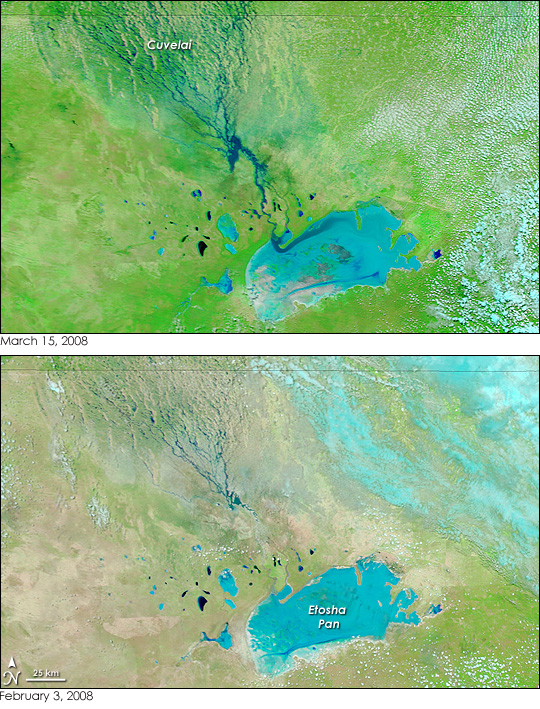 Floods in Namibia - related image preview