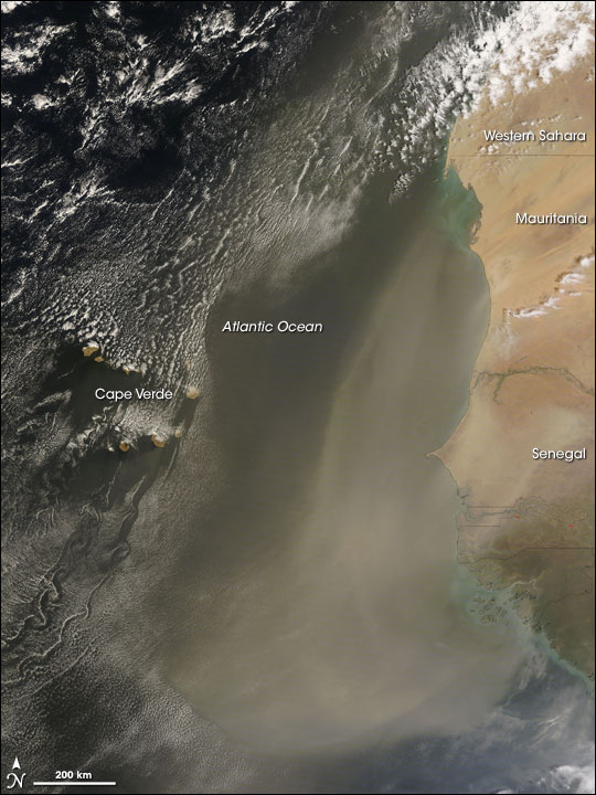 Dust Storm off the African West Coast