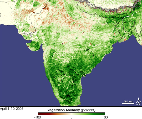 Record Crops in India