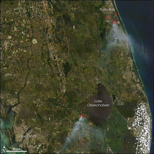 Fires in Florida - related image preview