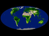 Global Enhanced Vegetation Index Measurements