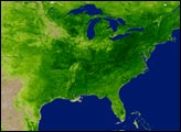 Vegetation in North America