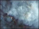 High-Resolution View of Fires and Smoke near Sydney, Australia