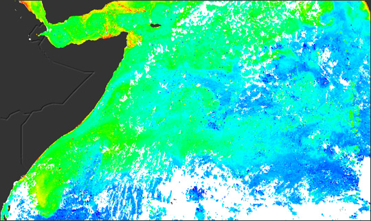 Plant Productivity in the West Indian Ocean