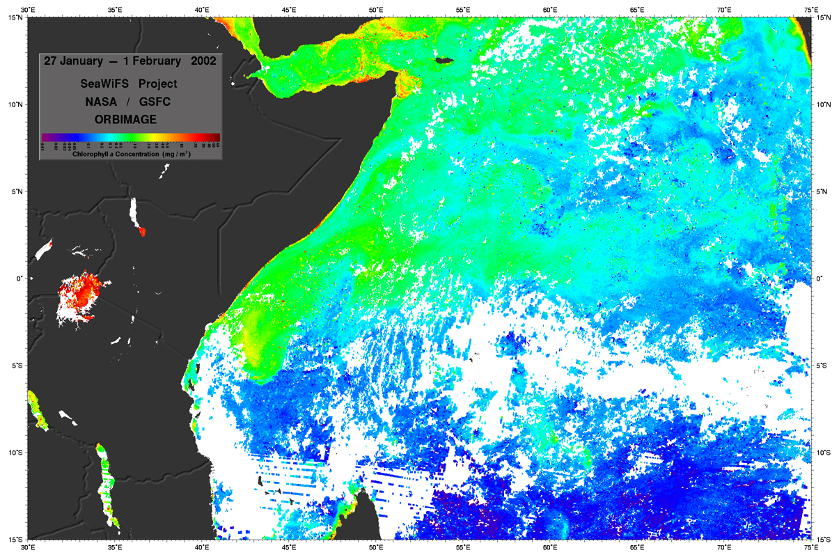Plant Productivity in the West Indian Ocean - related image preview