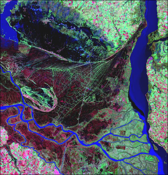 Parana River Delta in Argentina