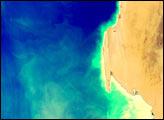 Phytoplankton off the West Coast of Africa - selected image