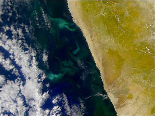 Sulfur Upwelling off the African Coast